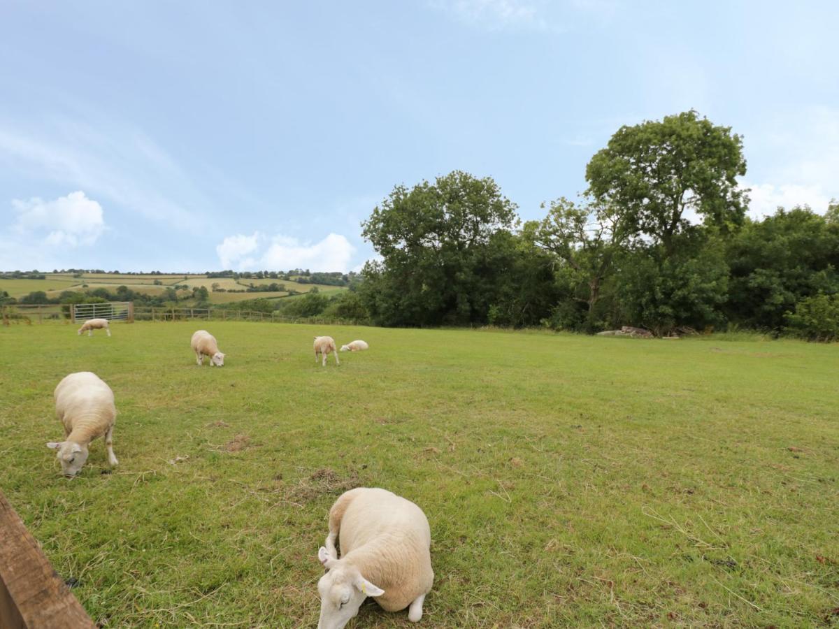Holmer Farm Leominster Eksteriør bilde